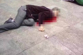 绥棱工资清欠服务